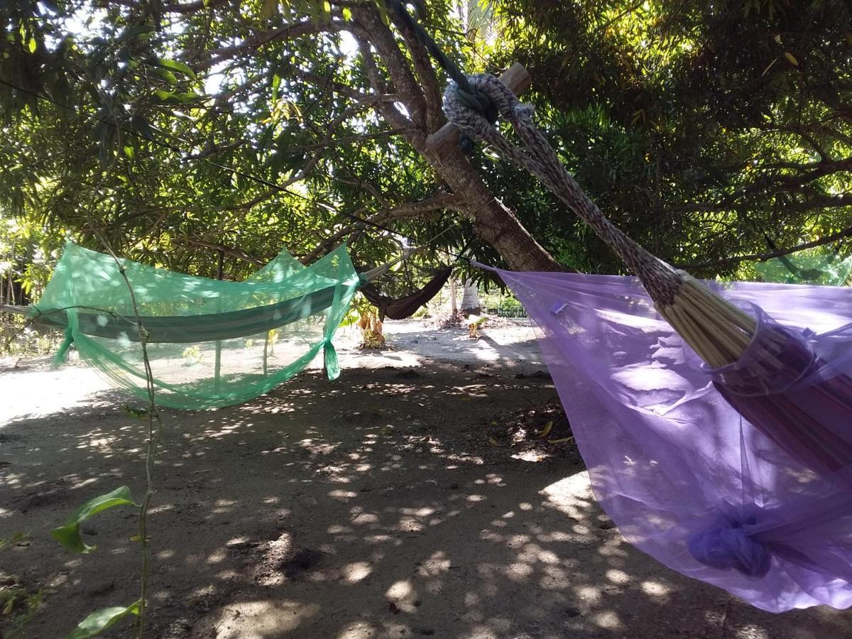 Eco-Camping Mango Feliz Rincon Del Mar San Onofre Exterior photo