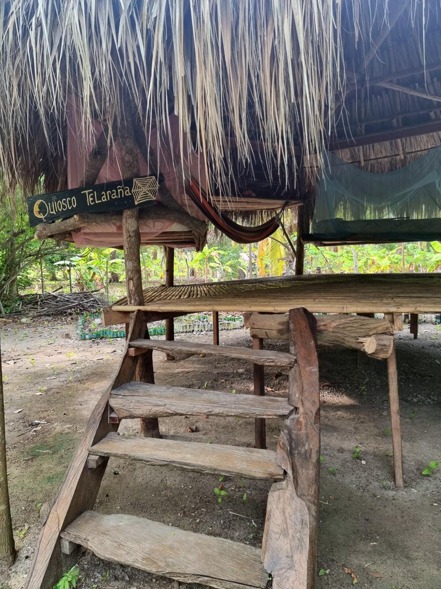 Eco-Camping Mango Feliz Rincon Del Mar San Onofre Exterior photo