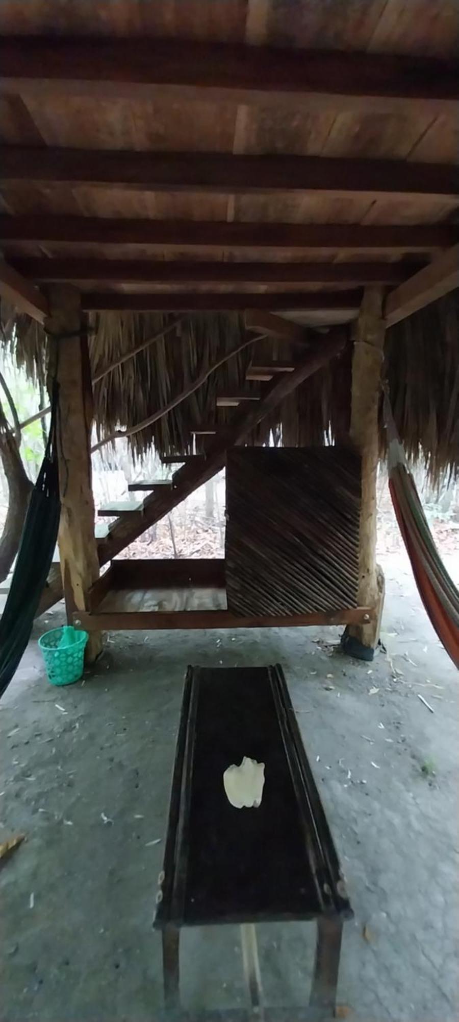 Eco-Camping Mango Feliz Rincon Del Mar San Onofre Exterior photo